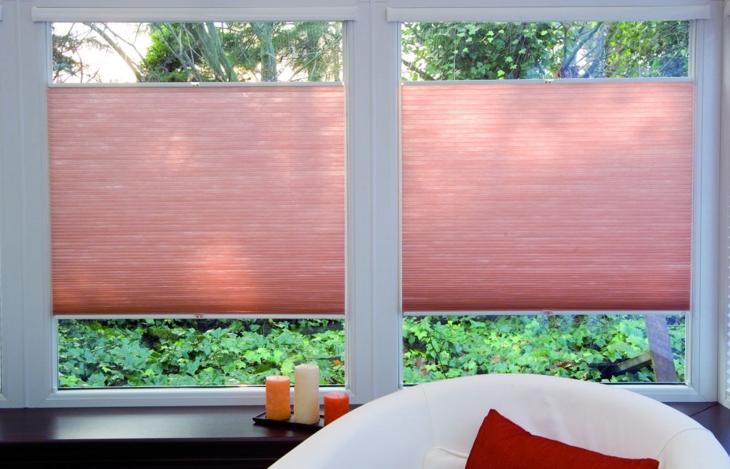 Pleated blinds